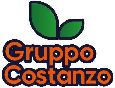 Gruppo Costanzo logo con bordo