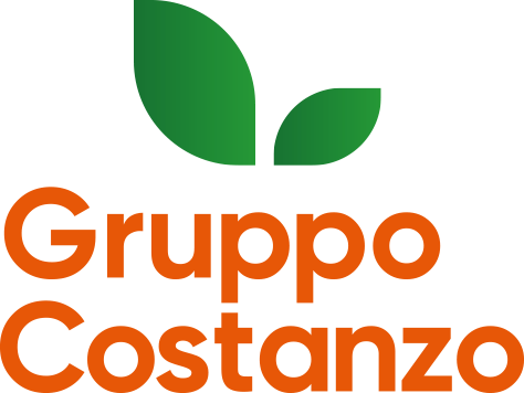 Gruppo Costanzo Logo
